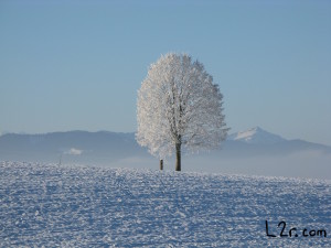 The Spirit Of The Lord Is Great And Mighty Lyrics And Chords L2r Love 2b Rewarded Dgreat and mighty is he. l2r love 2b rewarded